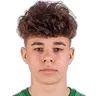 Sander Alamaa