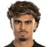 João Pedro Neves Filipe