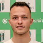Medgyes Zoltán Henrik